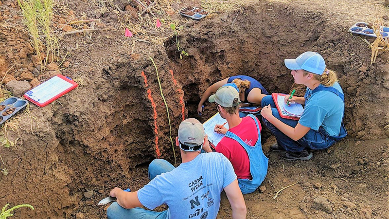 Soil Judging team in soil pit