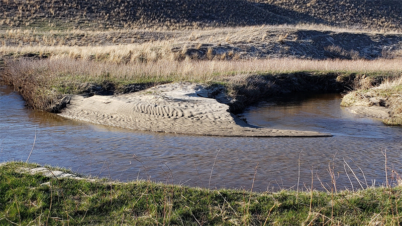 Sandhills Stream