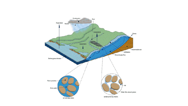 Water Cycle in Soil